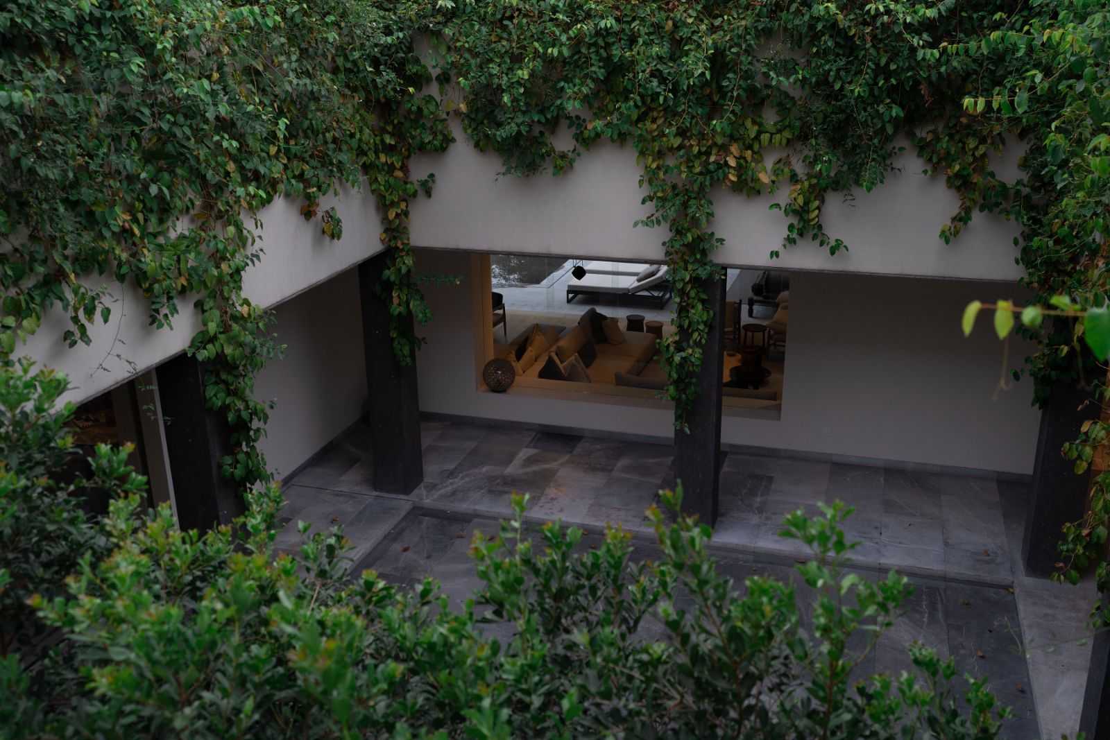Casa Morelos — patio con vegetación