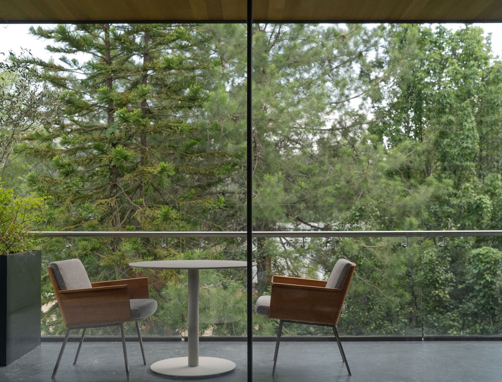 Río Escondido — terraza con vista al bosque